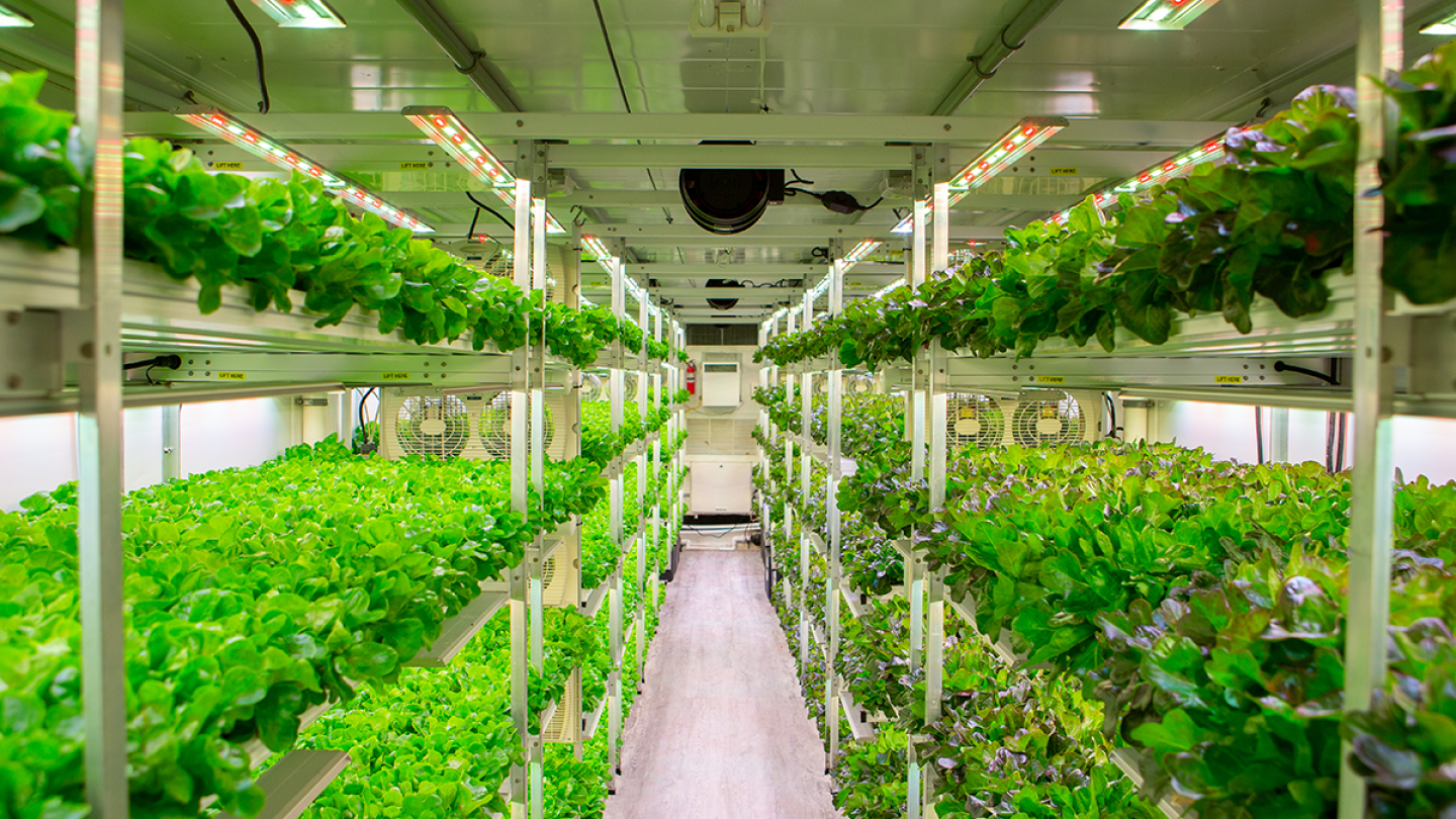 South Carolina foodservice distributor launches vertical farm